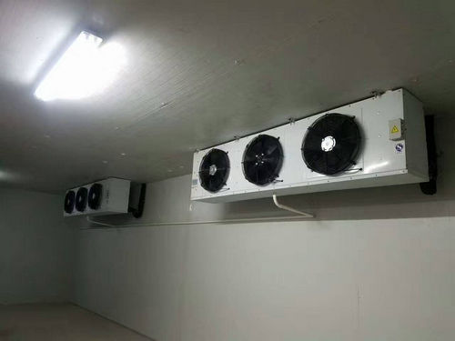 四個(gè)方法教你果品預(yù)冷怎么處理 四個(gè)方法教你果品預(yù)冷怎么處理